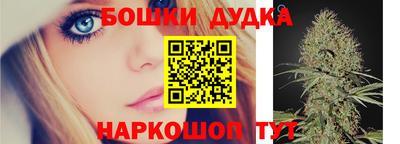 сатива Нальчик