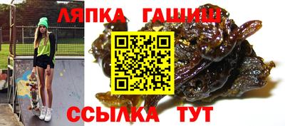 сатива Нальчик