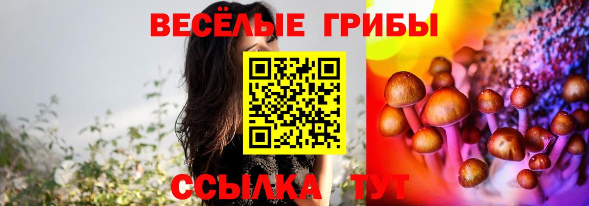 Галлюциногенные грибы прущие грибы  Псилоцибиновые грибы GOLDEN TEACHER  Вход с VPN  Сухой Лог 